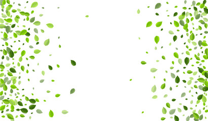 Swamp Greens Spring Vector Template. Ecology 