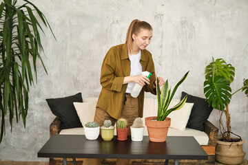 Young woman taking care of plants and home flowers. Home gardening and slow life rituals. On the table are pots with cactus, succulents and sansevieria. Hold spray bottle, water plants.