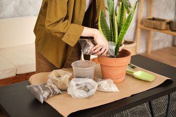 Unrecognizable young woman taking care of plants and home flowers, wearing casual stylish clothes. Home gardening and slow life rituals. Process of replace flower in a pot on table. Pours earth.