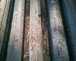 Abstract wooden background. Old paint on wooden boards.Blurred wood texture