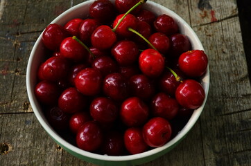 red ripe cherries in a green plate in the garden
