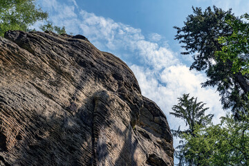 Grüner Märchenwald mit hängenden Gärten auf Sandstein - Felsen, Hängepflanzen,...