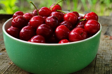 red ripe cherries in a green plate in the garden