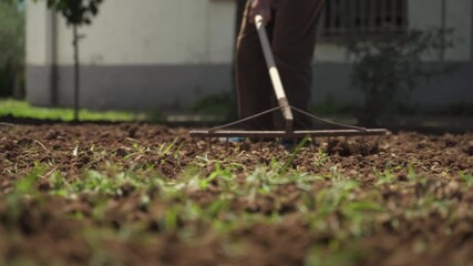 Close up of rake, being used by an old grandpa to till the soil of his garden 