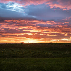sunset over the field