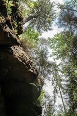 Grüner Märchenwald mit hängenden Gärten auf Sandstein - Felsen, Hängepflanzen,...