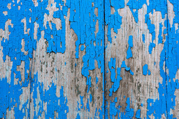 Vintage wood texture background. Natural wood texture.
