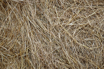 Background of dry haystack in the field. Close up.