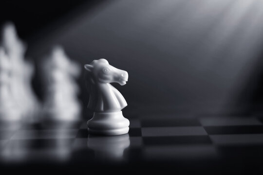 White chess knight on chess board Stock Photo | Adobe Stock