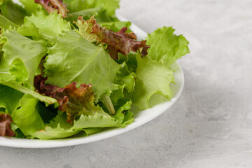 Close up photo of fresh lettuce leaves in a  white plate on a light background