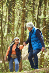 Vertical full length portrait of active senior couple helping each other while climbing on hill during hike in sunlit forest