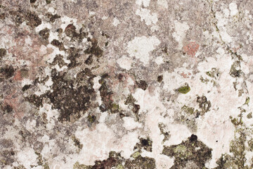 Old grey brown wall texture, natural aging, orange and green mold