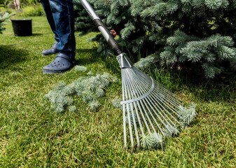 Gardener raking cutting leaves in the garden.