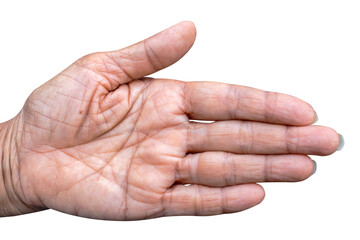 The hand line of the elderly Asian women solated white background, close up.