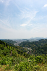 Fototapeta na wymiar 山から見た茶畑と静岡市の街並み