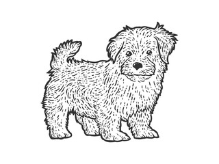 Cute and fluffy puppy. Sketch scratch board imitation. Black and white.