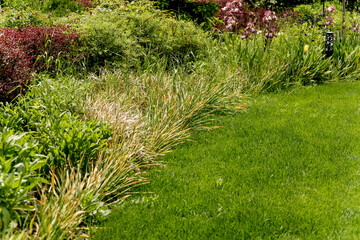 Beautiful garden landscape design. Summer day background