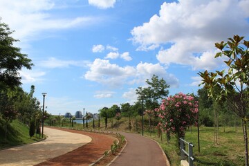 Fototapeta na wymiar road in the park with blue sky