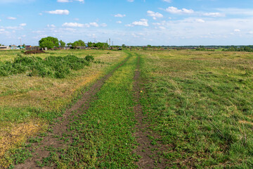 Green meadow and blue sky with clouds. Rural landscape