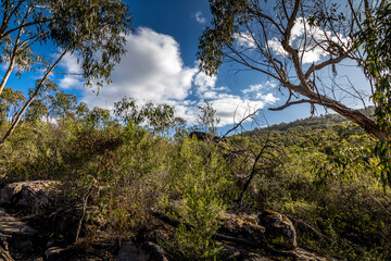 Obraz na płótnie Canvas Hiking paths in the Grampians National Park in Victoria, Australia.