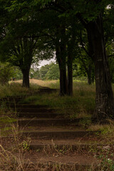 Obraz premium 公園