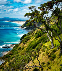 A view along the coastline of the pacific ocean from the famous mangawhai heads walk in northland new zealand