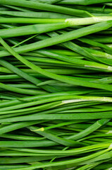 Background green onion leaves.