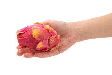 Sweet tasty dragon fruit or pitaya in woman hand isolated.