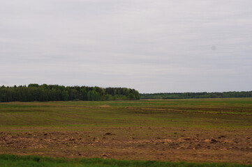 Obraz premium Plowed field on forest background. Cloudy day.