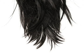 Black hair tips isolated on white.
