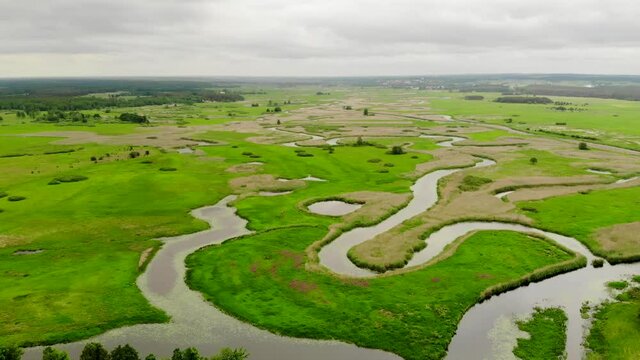 Biebrza Podlasie Biebrzański Park Narodowy Rzeka trzcina wieś bagno pole łąka widok z drona