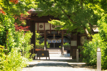 初夏の京都、梨木神社の参道から見える神門、拝殿、本殿の風景