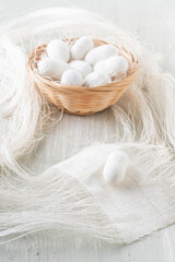 Fototapeta na wymiar natural silkworm cocoons are source of silk thread, textile