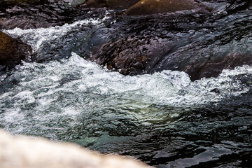 flowing river having rocks in the river