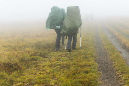 A group of hikers walk in the fog. © Konstiantyn Zapylaie