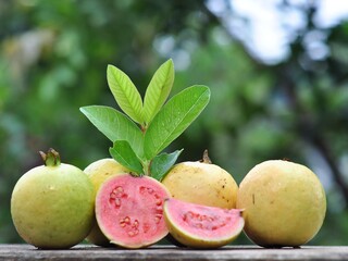 Red guava and green leaves on bokeh background. Tropical fruit concept