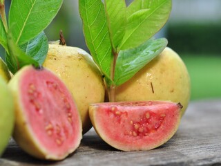 Red guava and green leaves on bokeh background. Tropical fruit concept