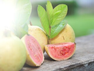 Red guava and green leaves on bokeh background. Tropical fruit concept