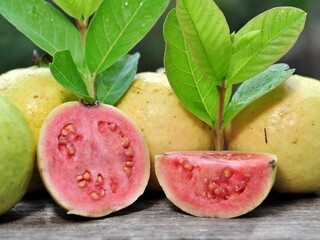 Red guava and green leaves on bokeh background. Tropical fruit concept