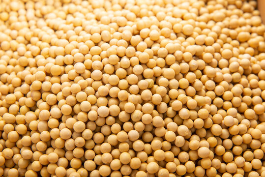 A lot of nutritious soybeans