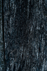 Old wood background, 
old wood texture