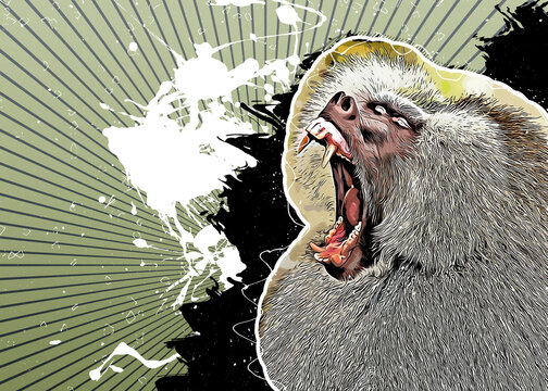 Baboon portrait on grunge background. Monkey illustrations digitaly modified. Abstract splash painting. Contemporary art.