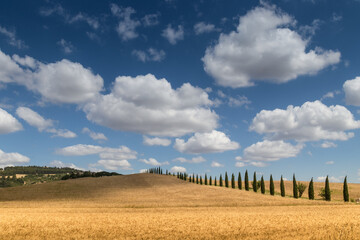 I campi di grano della Basilicata Matera