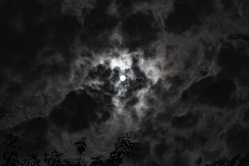 A shadow from the moon covers part of the sun against the backdrop of dramatically gray clouds and tree branches.