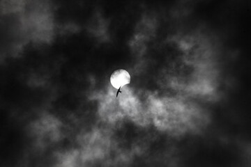 Partial solar eclipse in which the moon covers the sun and the silhouette of a bird against a black and white sky.