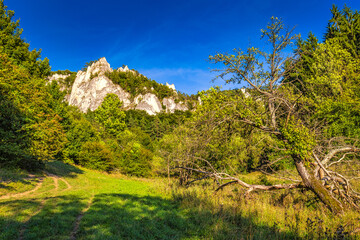 Fototapeta na wymiar Mountain landscape with rocky peaks on background in summer time. The National Nature Reserve Sulov Rocks, Slovakia, Europe.