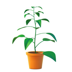 Vector of indoor plant in pot, realistic tree front view
