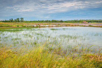 Salt lake for sea salt mining, produced from the evaporation of seawater.