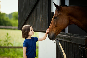 Little girl strokes a beautiful horse in the barn