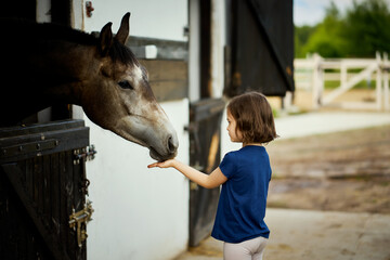 Little girl feeds a beautiful horse in the barn